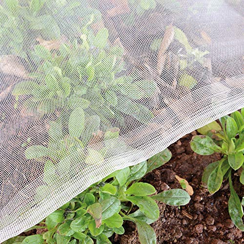 Garden Tailor Gemüseschutznetz 2 x 10 m