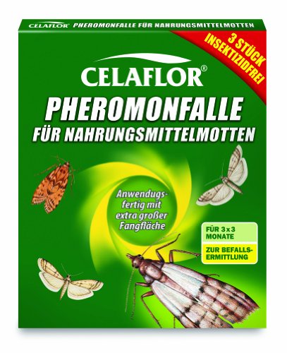 Mehlkäfer im Haus oder in der Wohnung bekämpfen | Haus100